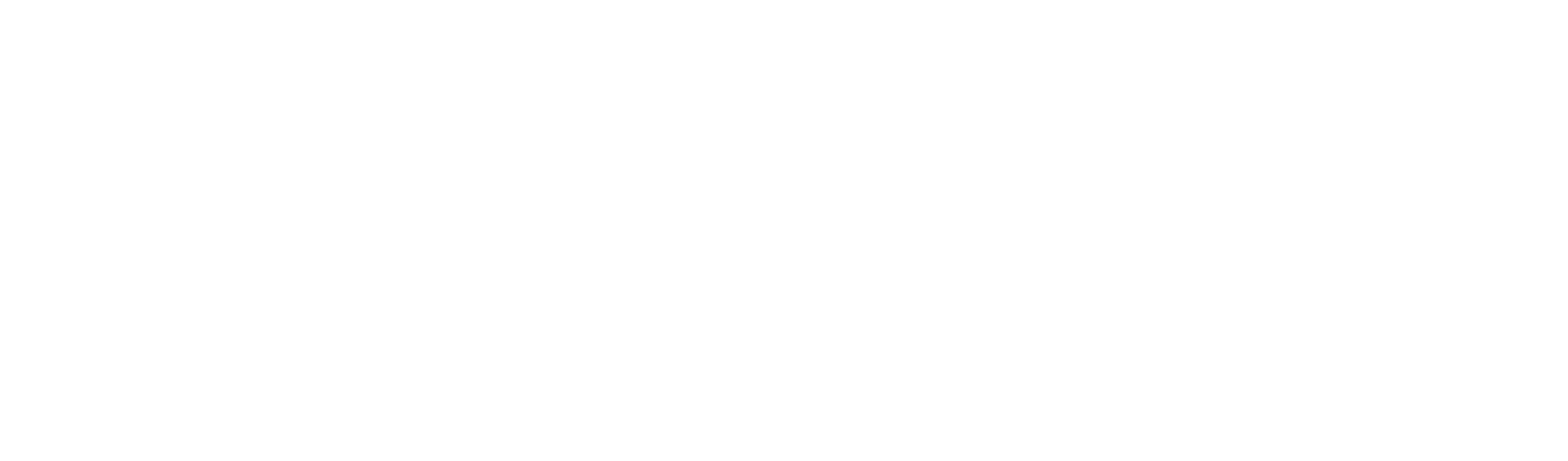 Bear Brothers Logo