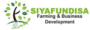 Siyafundisa Logo